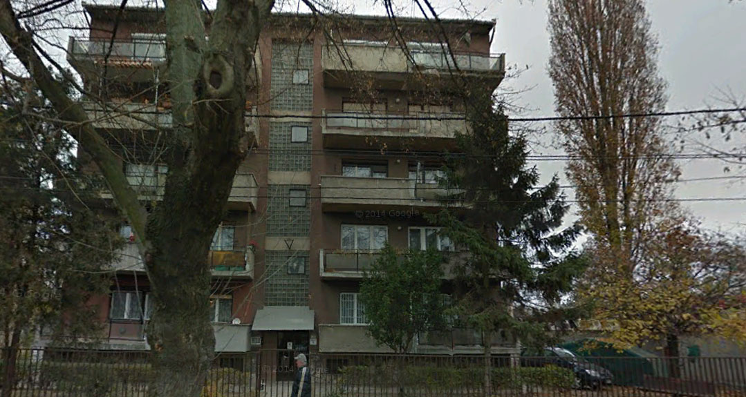 temesvari-8.jpg